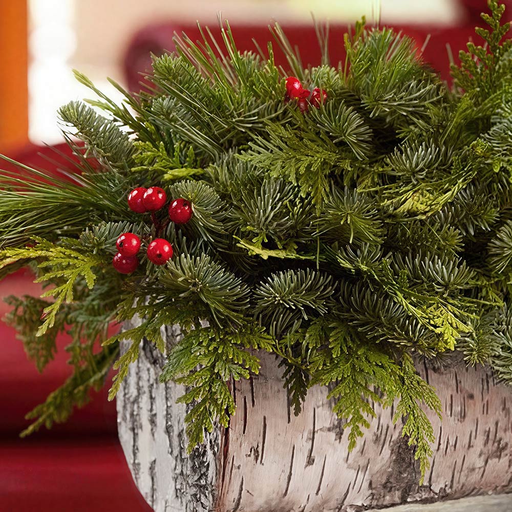DIY Birch Log Kit