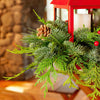 DIY Red Lantern Kit