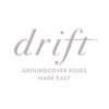 Peach Drift® Rose