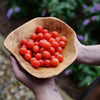 Proven Winners® Easy As Pie™ Cherry Bush