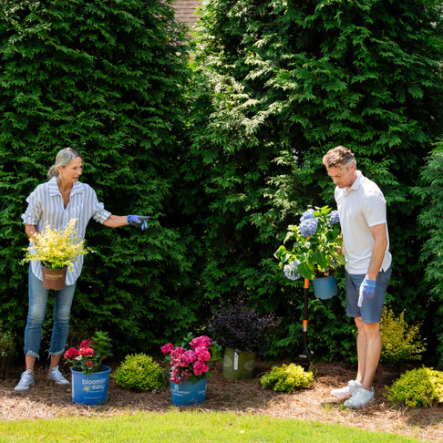 Expert Consultation: Plant Selection
