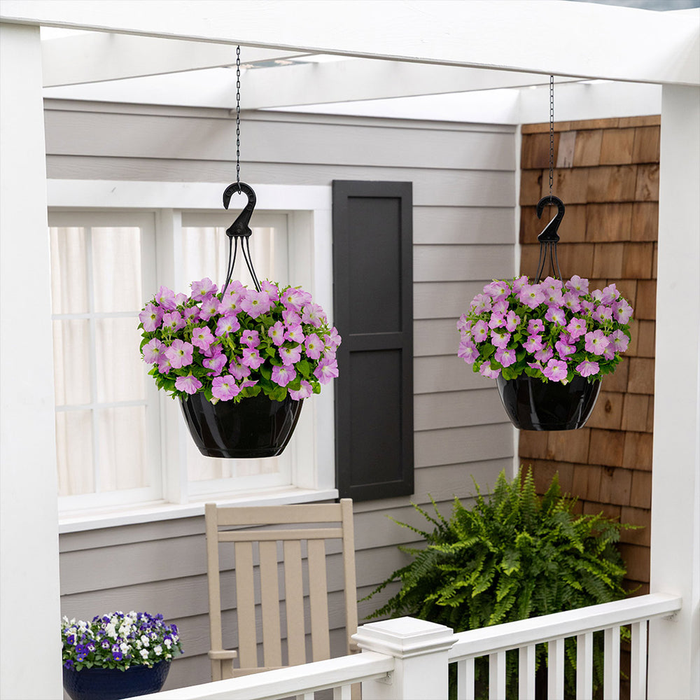 Firefly™ Moonlight™ Pink Petunia Plant