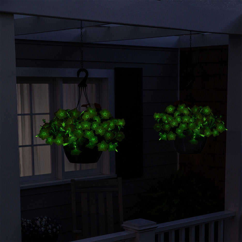 Firefly™ Moonlight™ Pink Petunia Plant