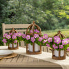 Firefly™ Moonlight™ Pink Petunia Plant