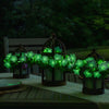 Firefly™ Moonlight™ Pink Petunia Plant