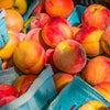 Flordaglo Peach Tree