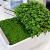 Gardenuity® Microgreens Desktop Garden Starter Kit