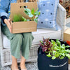 Gardenuity® Patio Garden for Mom