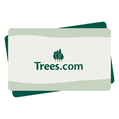 E-Gift Card