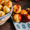 Honey Jar Jujube Tree