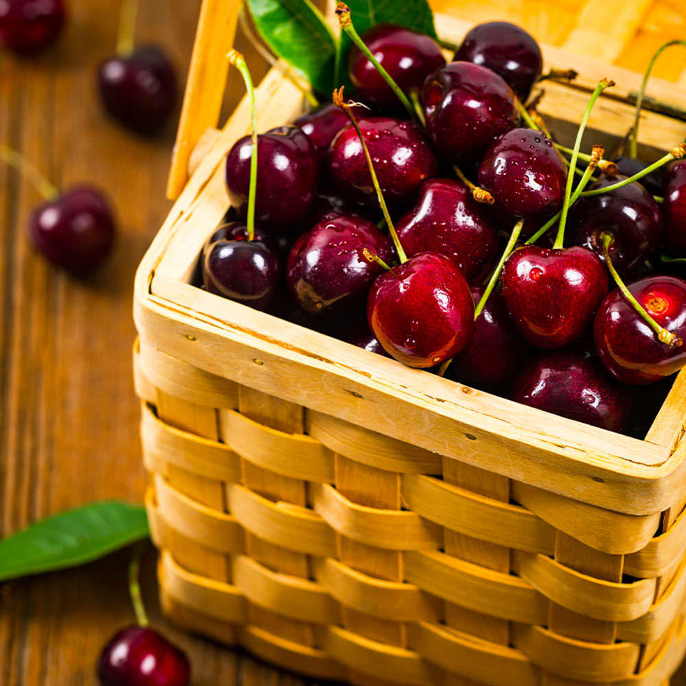Romeo Cherry Tree