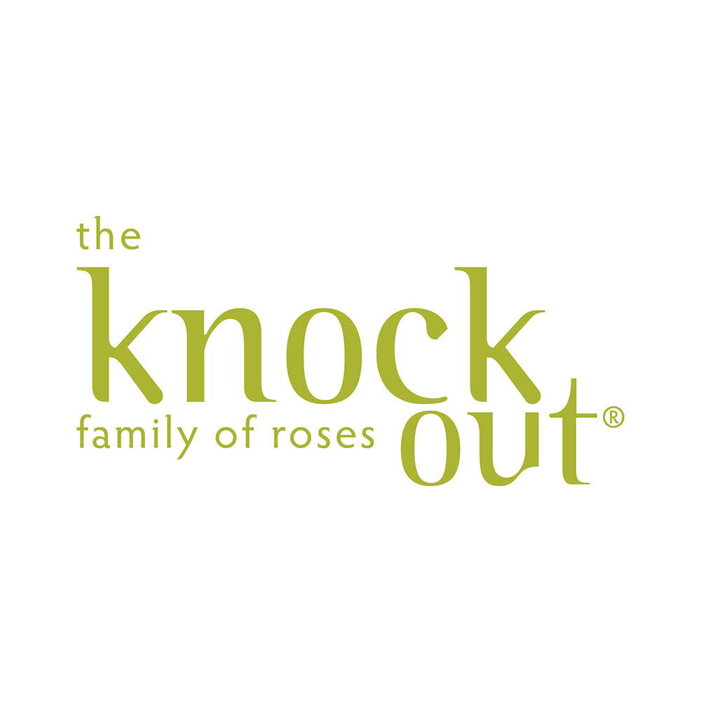 Knock Out® Rose Tree