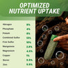 Lutz Ultra Citrus Fertilizer Spikes