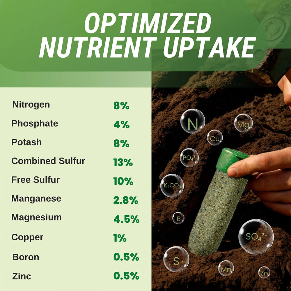 Lutz Ultra Citrus Fertilizer Spikes