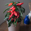 Proven Winners® Harvest Goodhearted® Red Dwarf Cherry Tomato Bush