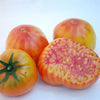 Proven Winners® Harvest Mr. Stripey Tomato Bush