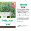Southern Living® Pancake™ Arborvitae Shrub