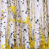 Paper Birch Tree