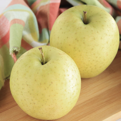 Pristine Apple Tree