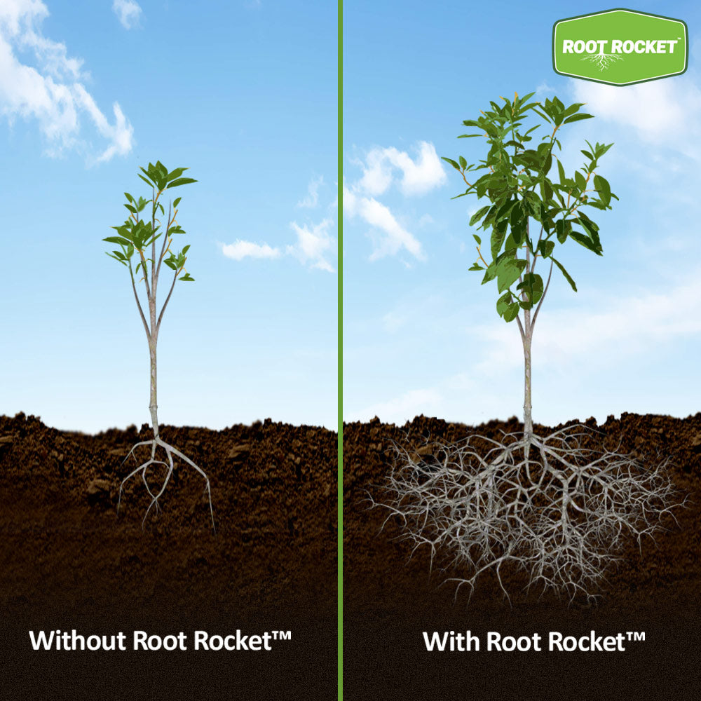 Root Rocket® Berries & Fruits Fertilizer