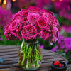 Roseberry Beret™ Rose Bush