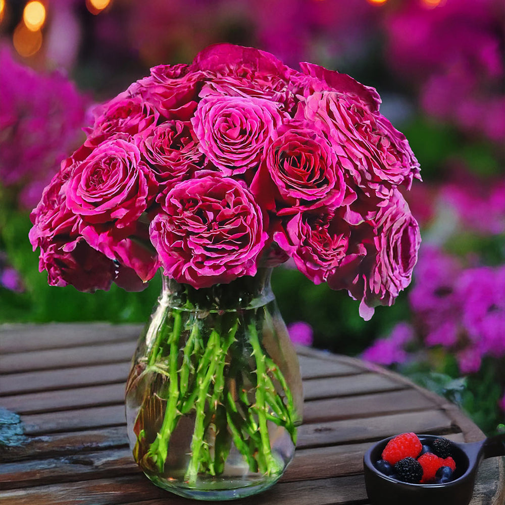 Roseberry Beret™ Rose Bush