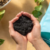 Rosy Soil Houseplant Mix