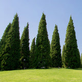 block-image