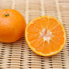 Tango Mandarin Tree