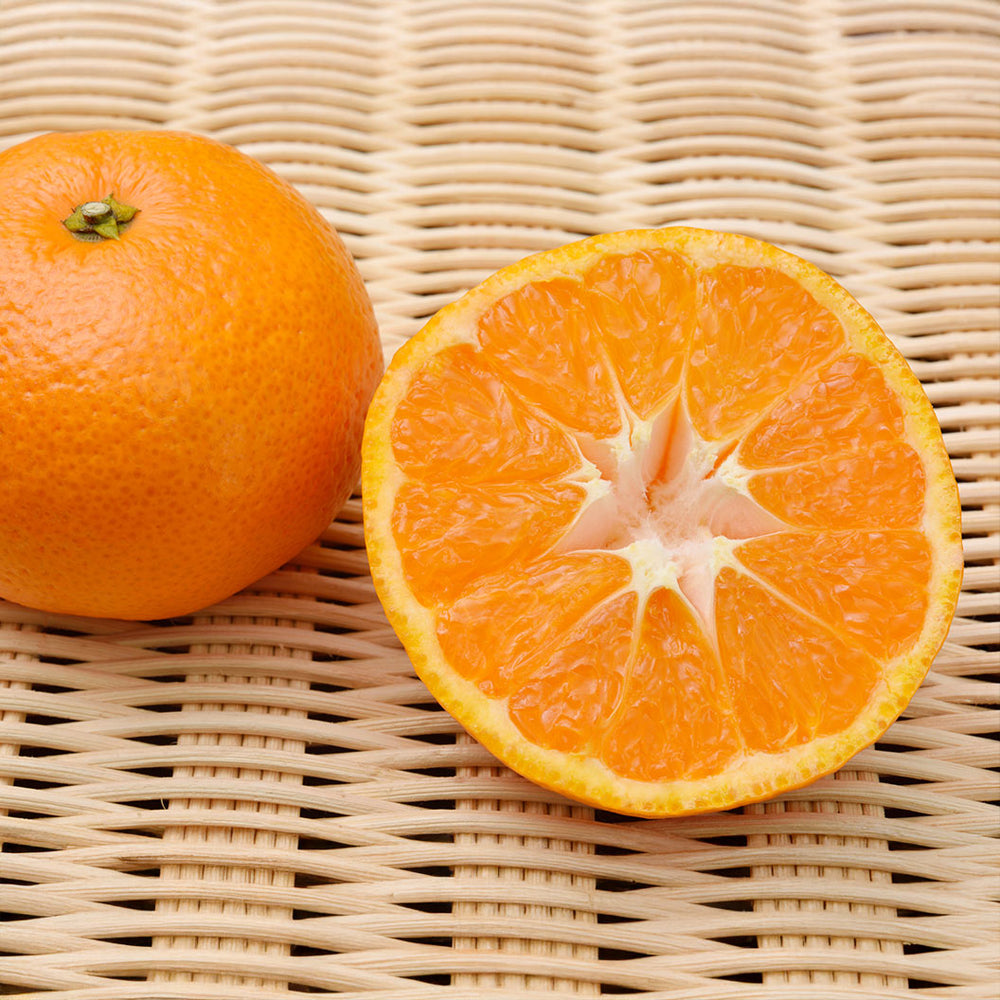 Tango Mandarin Tree