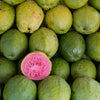 Tikal Pink Guava Tree