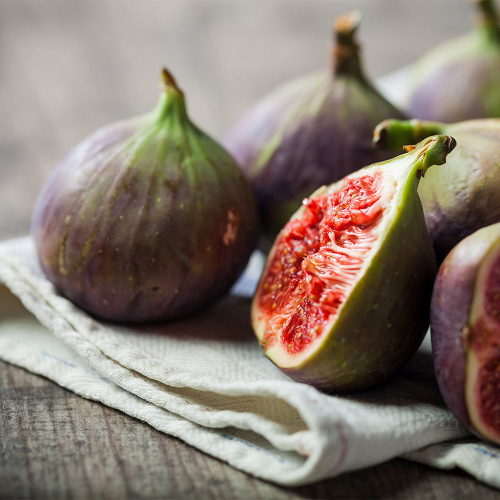 Violette de Bordeaux Fig Tree - USDA Organic