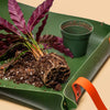We the Wild Reusable Potting Mat