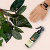 We the Wild Proud Plant Mum Leaf Care Kit