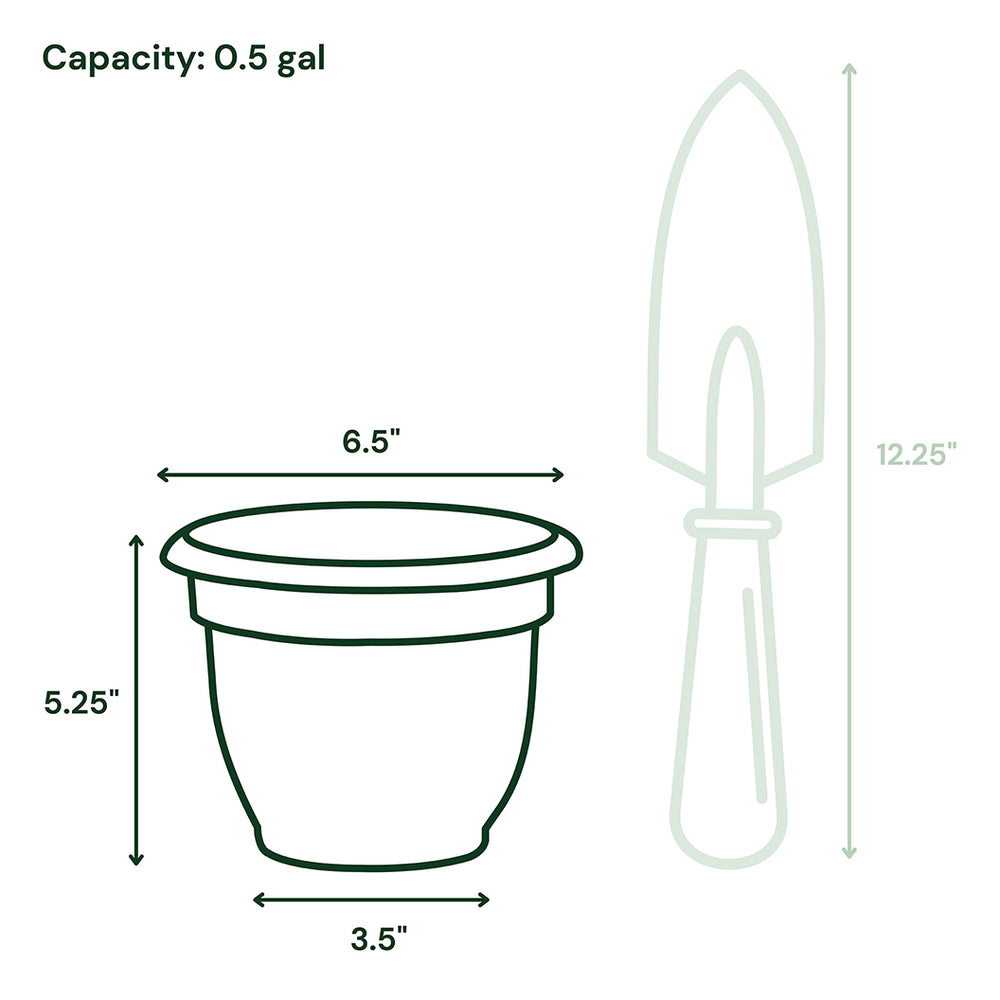 Bloem Ariana Self-Watering Planter in Charcoal