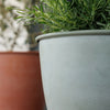 Bloem Arbor Indoor Metal Planter in Basil