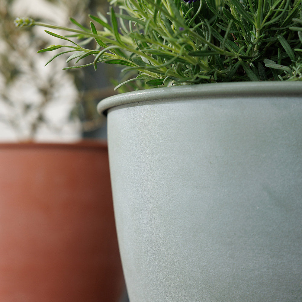 Bloem Arbor Indoor Metal Planter in Basil