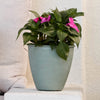 Bloem Arbor Indoor Metal Planter in Basil
