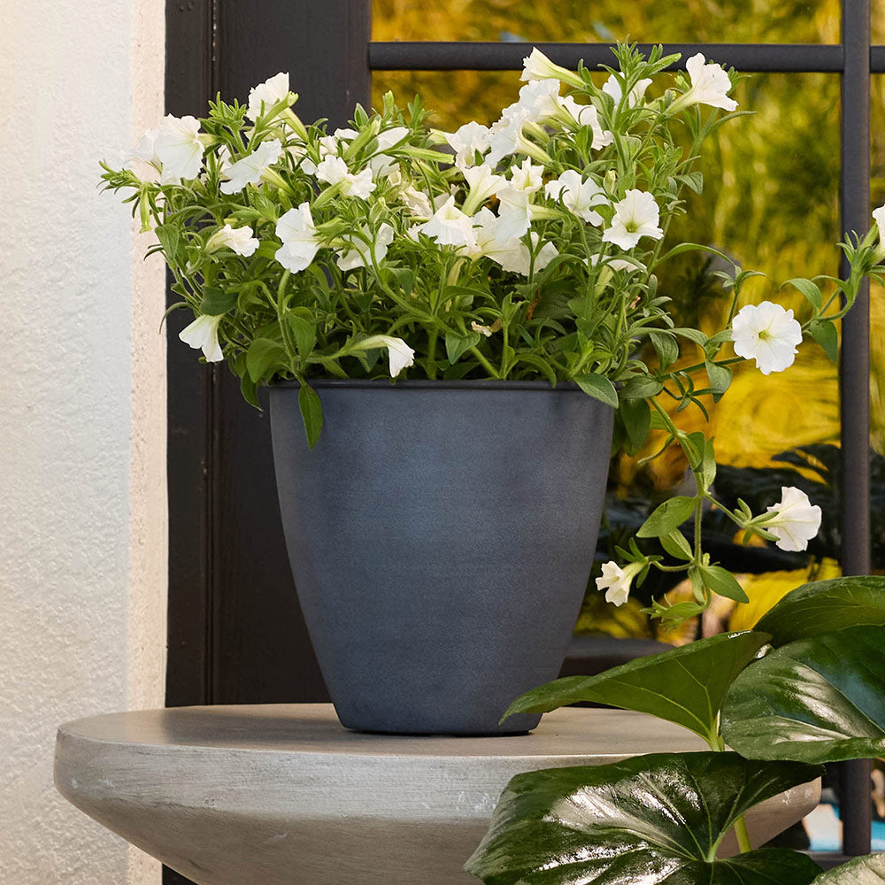 Bloem Arbor Indoor Metal Planter in Black