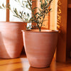 Bloem Arbor Indoor Metal Planter in Terra Cotta