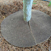 Coco Fiber Tree Protector Ring