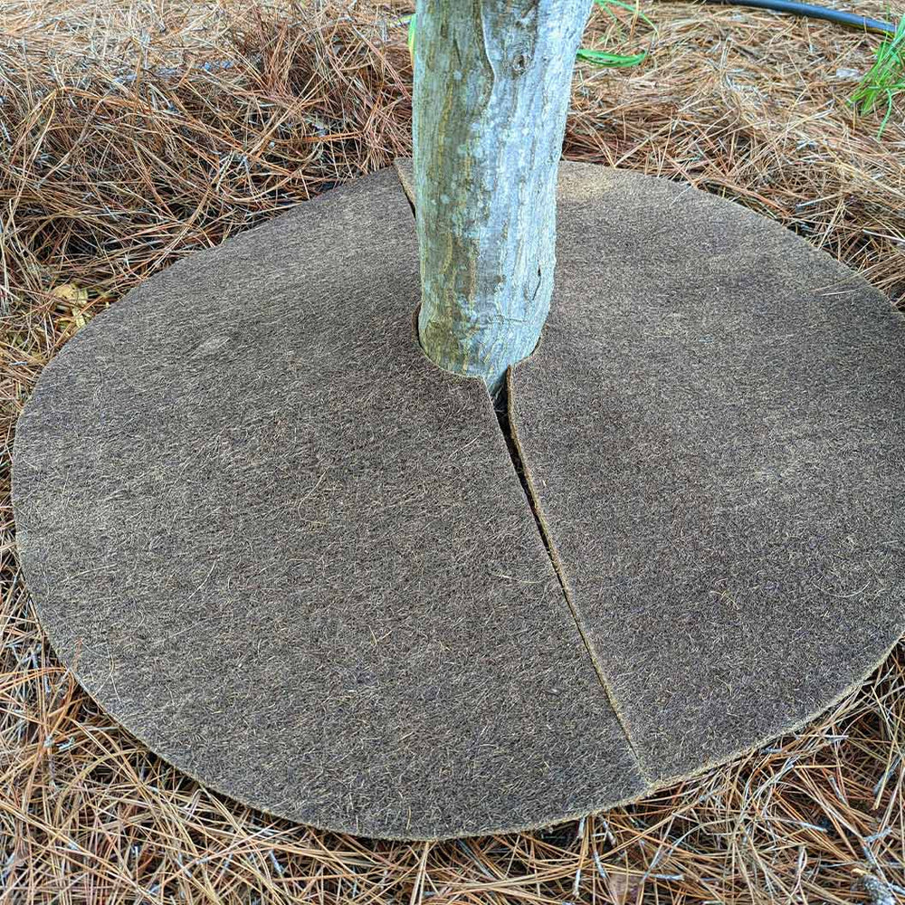 Coco Fiber Tree Protector Ring