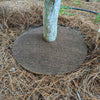 Coco Fiber Tree Protector Ring