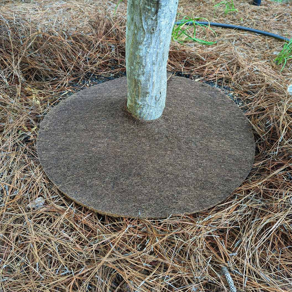 Coco Fiber Tree Protector Ring