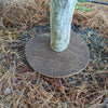 Coco Fiber Tree Protector Ring