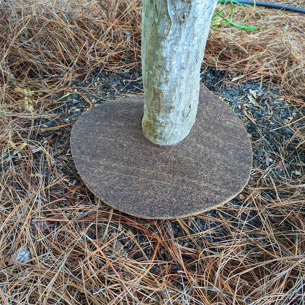 Coco Fiber Tree Protector Ring