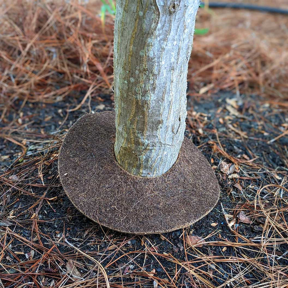 Coco Fiber Tree Protector Ring