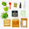Gardenuity® Tropical Desktop Garden Kit in Bamboo Planter