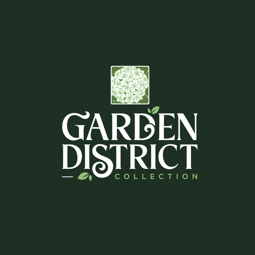 Garden District Midnight Rider™  Hydrangea Bush
