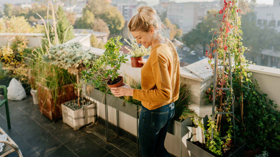 Find the perfect plant image